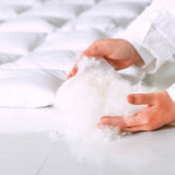 Divpusēja sega un divas spilveni ar zoss dūnu un spalvu pildījumu